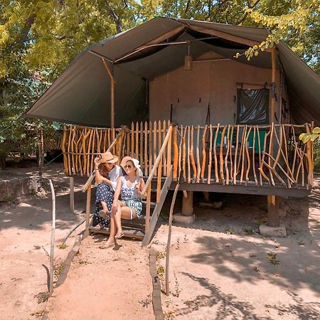 Hotel Camp Leopard - Yala Safari Glamping Extérieur photo