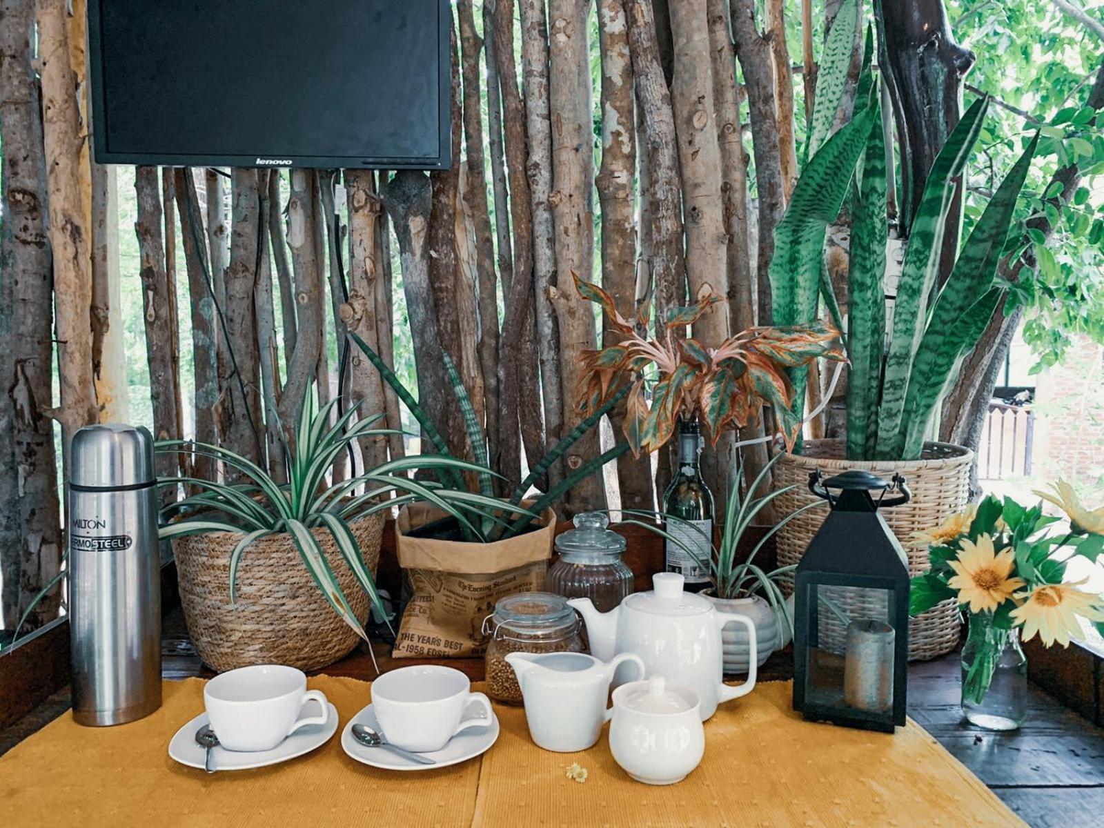 Hotel Camp Leopard - Yala Safari Glamping Extérieur photo