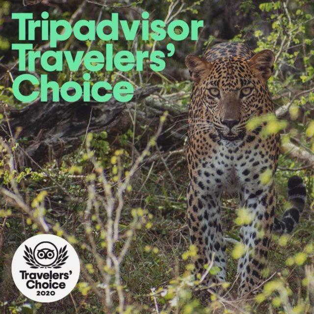 Hotel Camp Leopard - Yala Safari Glamping Extérieur photo