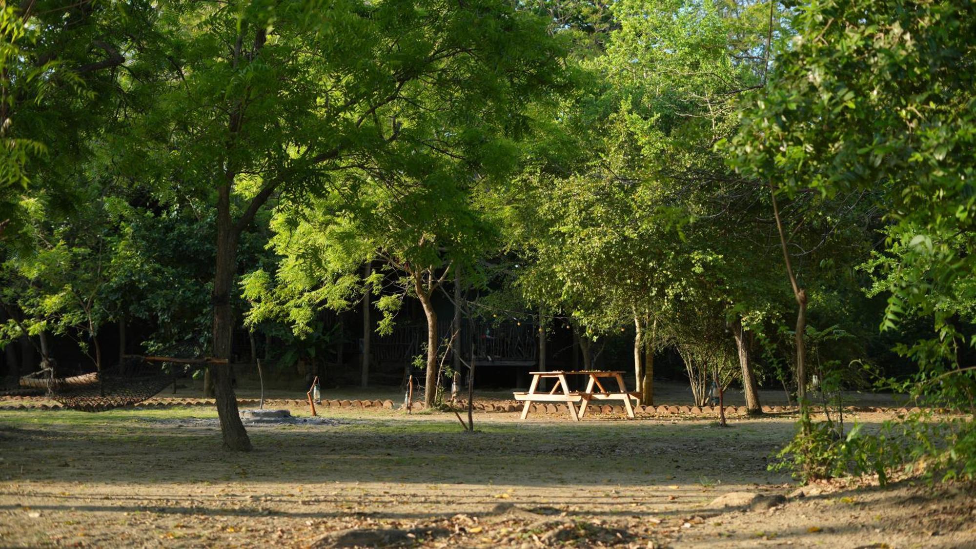 Hotel Camp Leopard - Yala Safari Glamping Extérieur photo