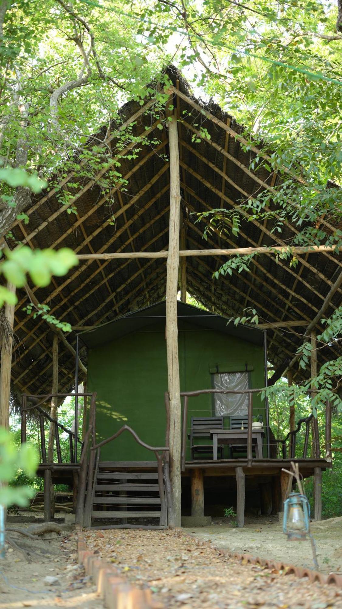 Hotel Camp Leopard - Yala Safari Glamping Extérieur photo