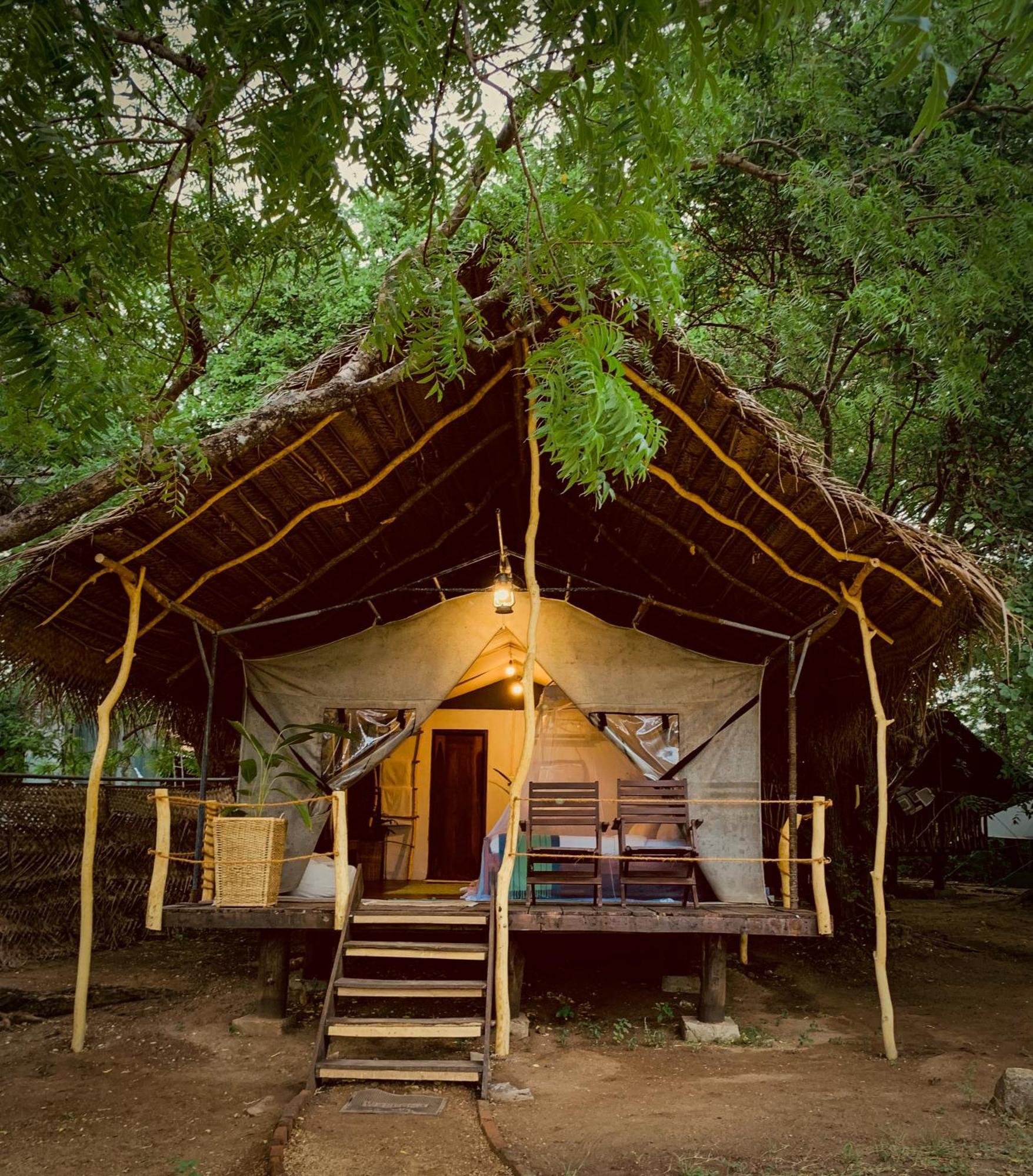 Hotel Camp Leopard - Yala Safari Glamping Extérieur photo